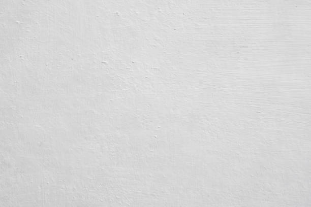 Mold Remediation for Vacation Homes in Sun Prairie, MT
